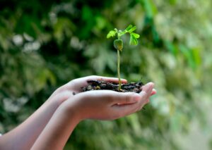 Crise écologique ou crise spirituelle ?